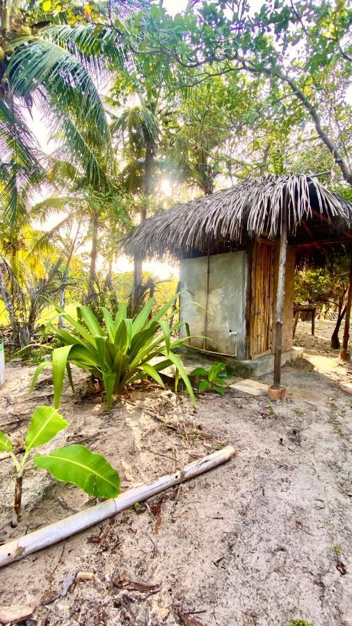Morada Venturi Villa Atins Exterior foto